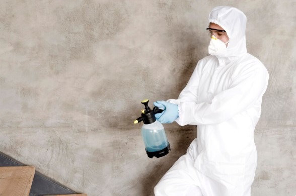 A pest control technician in full protective gear, including a white coverall, gloves, mask, and safety goggles, using a hand-pump sprayer filled with blue solution.