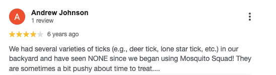 Screenshot of a customer’s 4-star review for Mosquito Squad of the Triad on Google Reviews. 