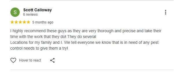 Screenshot of a customer's 5-star review for Sentinel Pest Solutions on Google Reviews.