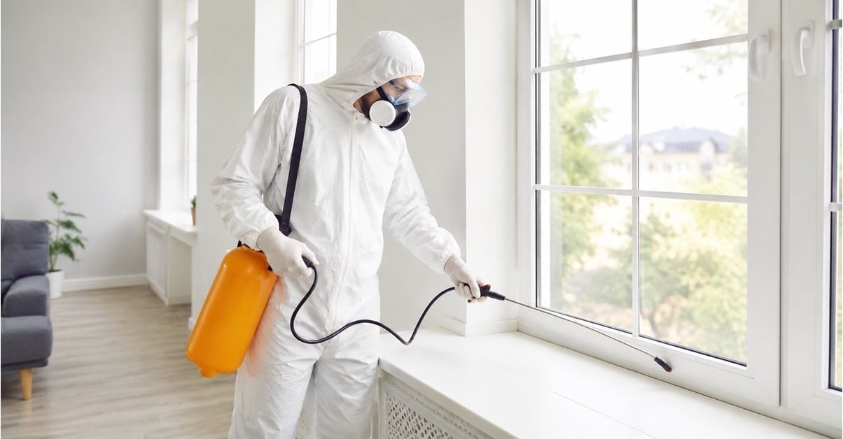 Pest control technician in protective gear spraying along window frames inside a residential home using a portable pump sprayer