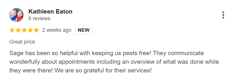 Google review praising Sage Pest Control for effective pest management.