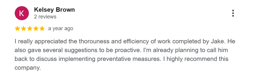 Google review for Carolina Wildlife and Pest praising thorough and efficient service.