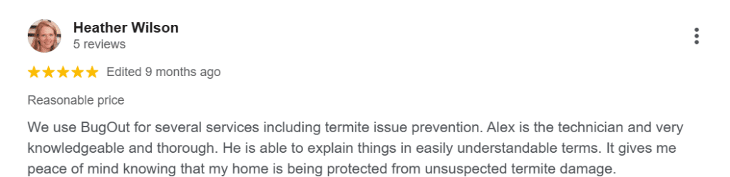 Five-star Google review describing Bug Out's termite prevention service.