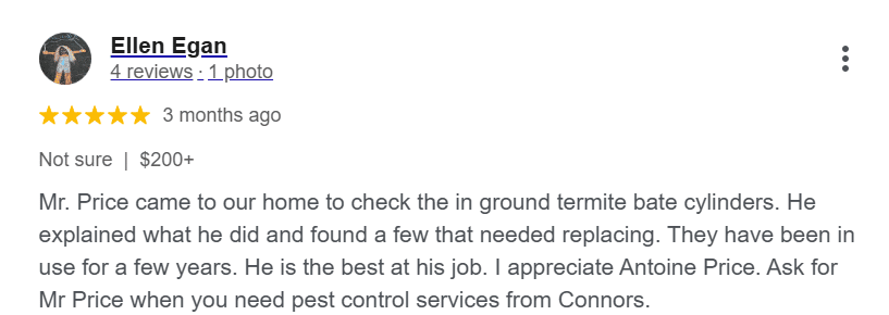 Five-star Google review from Ellen Egan describing a positive experience with Connor's Pest Pros termite bait station.