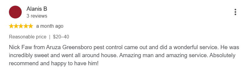 Review praising an Aruza Pest Control technician for being respectful and explaining the treatment process in detail.