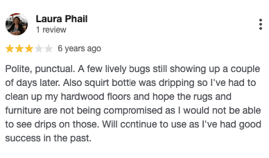 Screenshot of a customer’s 3-star review for Bug Out. 