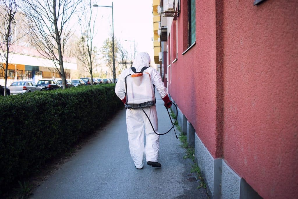 Pest control technician in a white protective suit spraying disinfectant along a building's exterior wall.