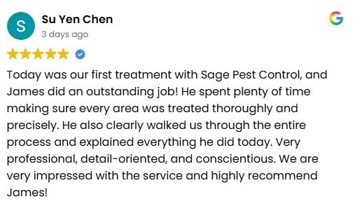 Five-star Google review praising Sage Pest Control technician James for thorough work.