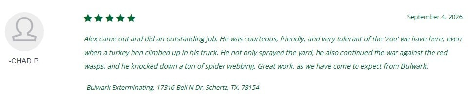 A review from Chad P. praising Bulwark Exterminating technician Alex for thorough, friendly service.
