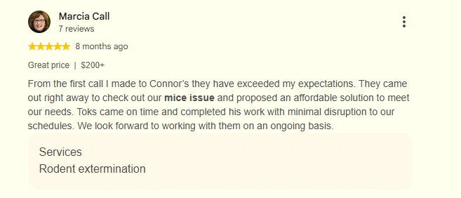 Five-star Google review praising Connor's Pest Pros for fast, affordable rodent extermination of a mice problem.