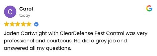 Five-star Google review highlighting ClearDefense technician professionalism and thorough service.