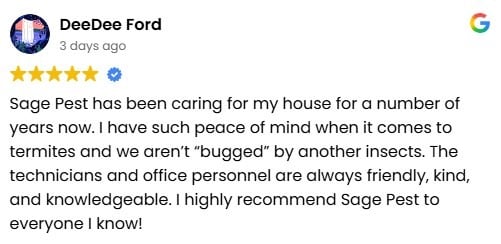 A 5-star Google review by DeeDee Ford praising Sage Pest's termite control.