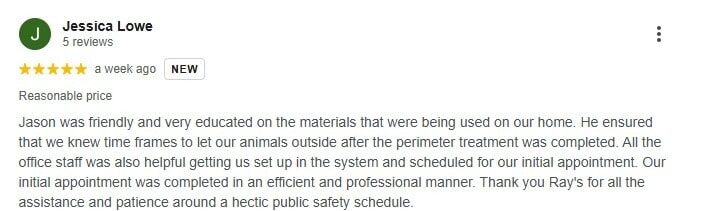 Five-star Google review praising Ray's pest control service for professionalism and pet safety awareness.