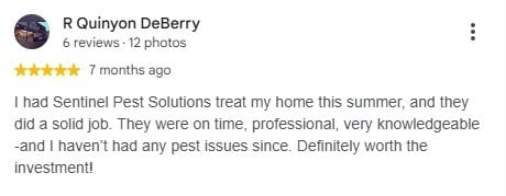 Five-star Google review praising Sentinel Pest Solutions for punctual, professional, and effective service.