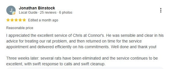 Five-star Google review describing an effective, well-priced rat removal service.