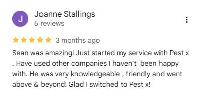 A review from Joanne Stallings praising Pest X technician Sean as knowledgeable and friendly.